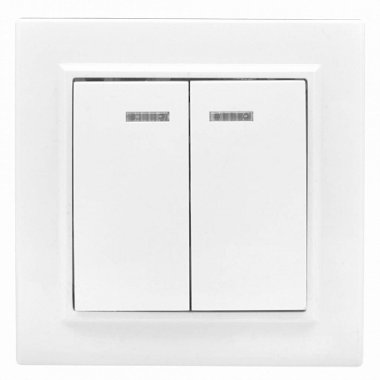 Фотография товара 'EKF Выключатель 2-клавишный СП с индикатором, 10А Basic ERV10-123-10'