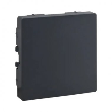 Фотография товара 'EKF UP1-ECG Заглушка, графит Эпика'