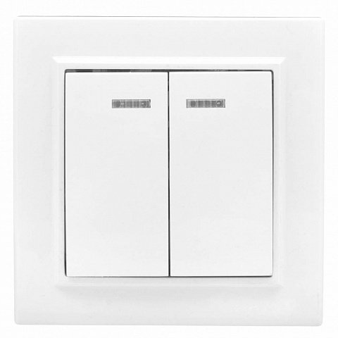 Фотография товара 'EKF Выключатель 2-клавишный СП с индикатором, 10А Basic ERV10-123-10'