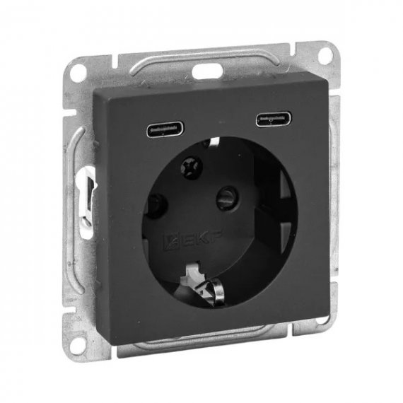 Фотография товара 'EKF UP1-SOB-111-2USBC Механизм розетки с USB-C - 2шт, 16А, с заземлением, со шторками'