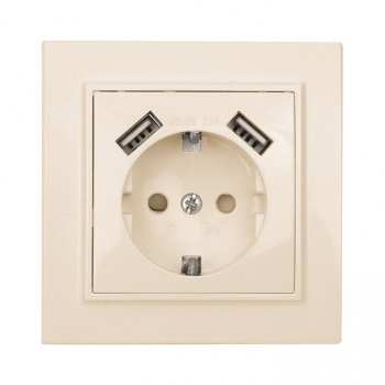 Фотография товара 'EKF Минск Розетка 1-местная СП с/з 16А бежевая ERR16-028-200-2USB'