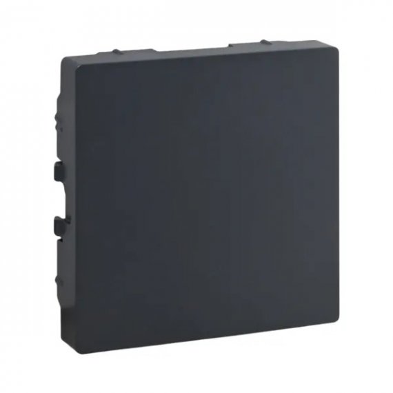 Фотография товара 'EKF UP1-ECG Заглушка, графит Эпика'